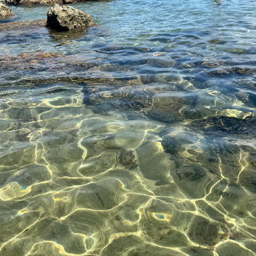 Meer